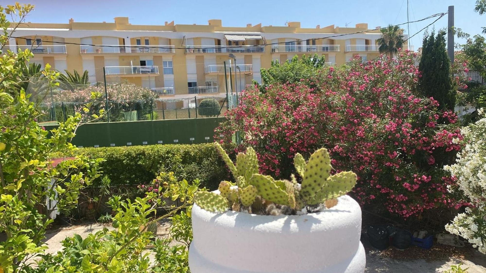 Chalet Denia Playa Primera Linea Eksteriør billede